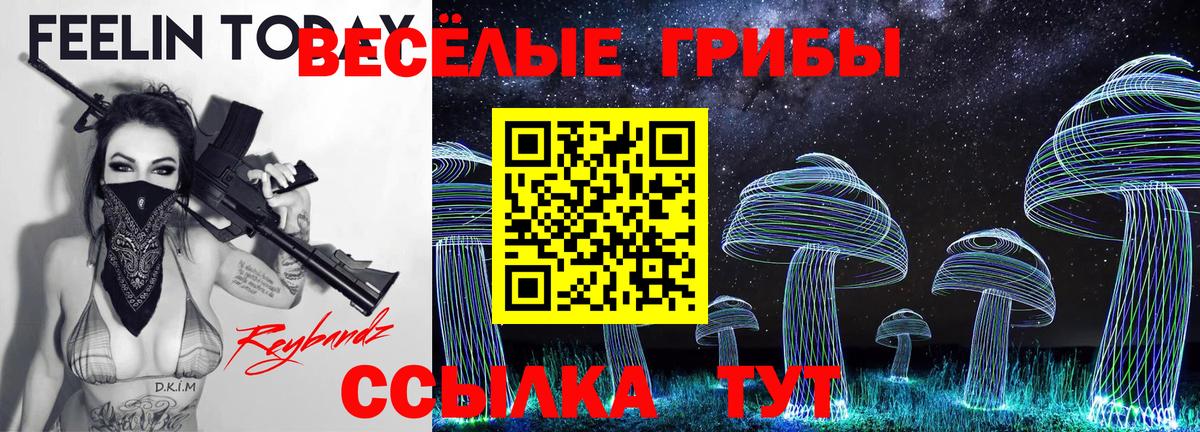 Тобольск  Галлюциногенные грибы прущие грибы  Вход с VPN  Псилоцибиновые грибы GOLDEN TEACHER 